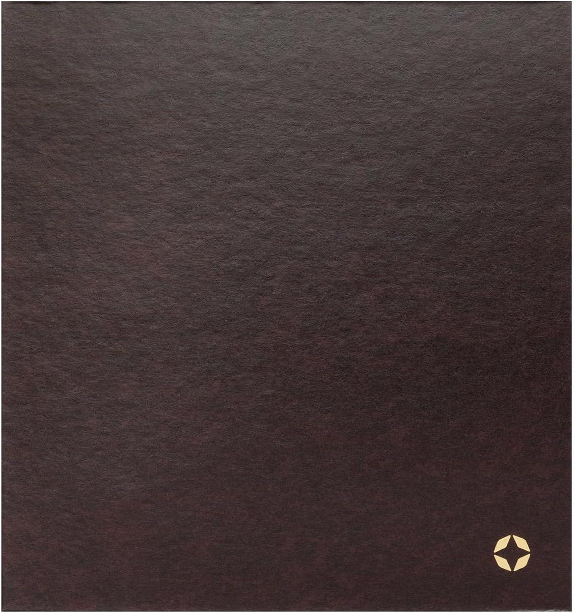 image:imageFranklinCovey Storage Binder for FranklinCovey Planners Protect Past and Future Planner Pages Classic AquaBurgundy