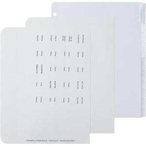 image:imageFranklinCovey  Custom Tabs for RingBound FranklinCovey Planners  Personalize Your Tabbing System Classic 12 TabsMonarch Size